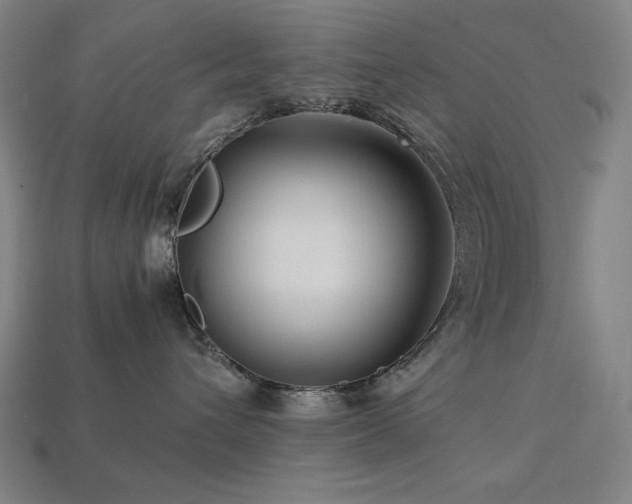 X0000113760432200909231209