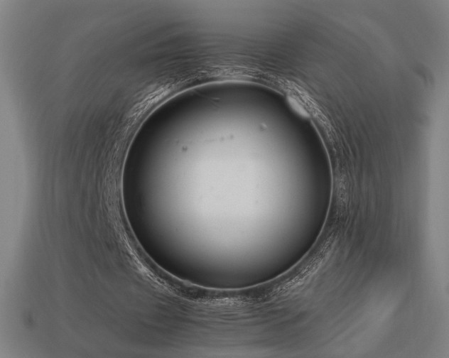 X0000113760433200909231208