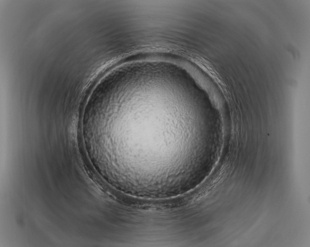 X0000113760434200909231208