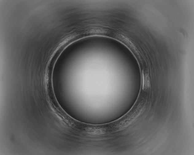 X0000113760435200909231208