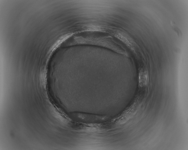 X0000113760436200909231208