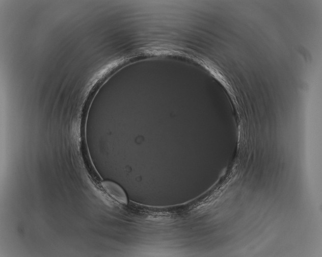 X0000113760438200909231208
