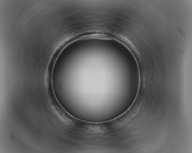 X0000113760439200909231208
