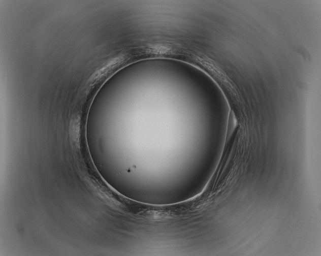 X0000113760442200909231208