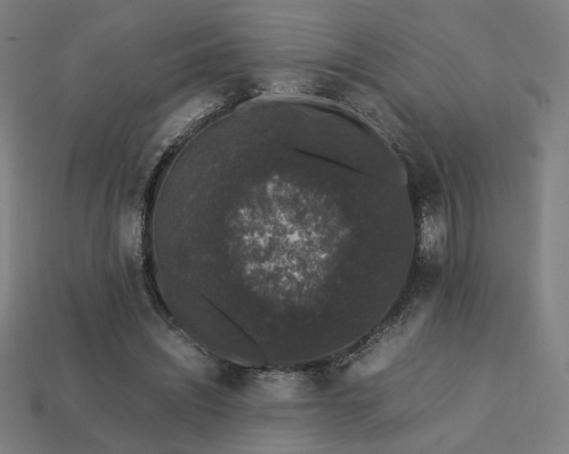 X0000113760444200909231208