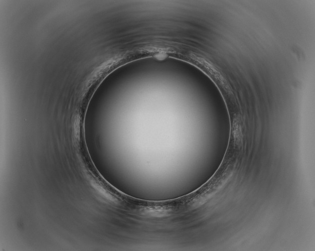 X0000113760445200909231208
