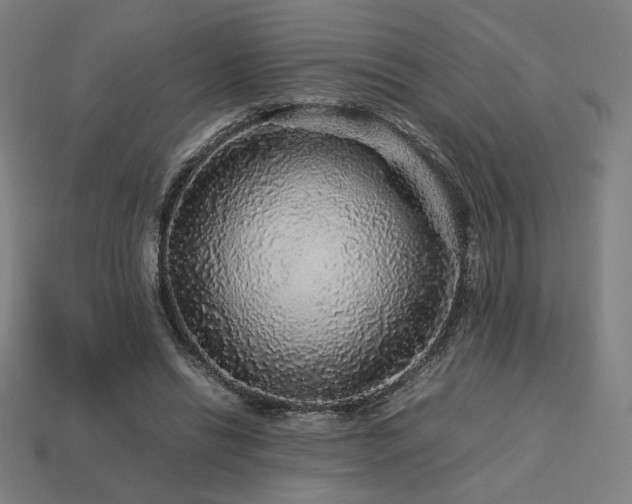 X0000113760446200909231208