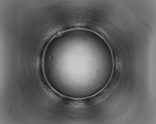 X0000113760447200909231208