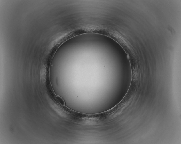 X0000113760448200909231208