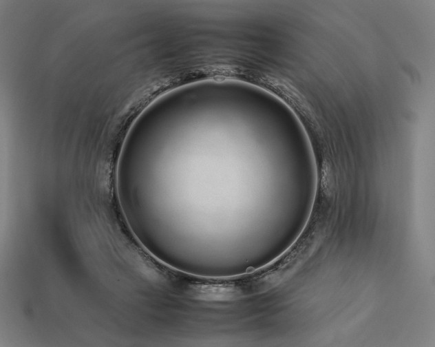 X0000113760449200909231208