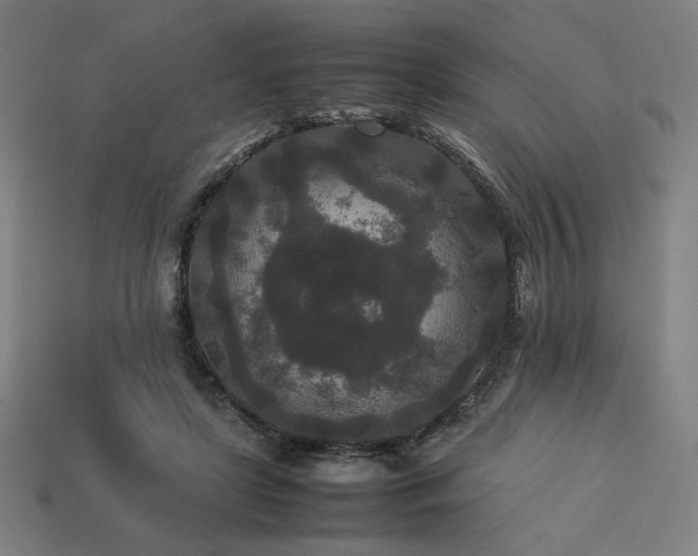 X0000113760451200909231208