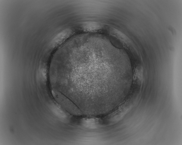 X0000113760452200909231208