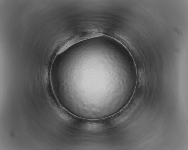 X0000113760453200909231208