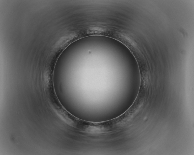 X0000113760455200909231208
