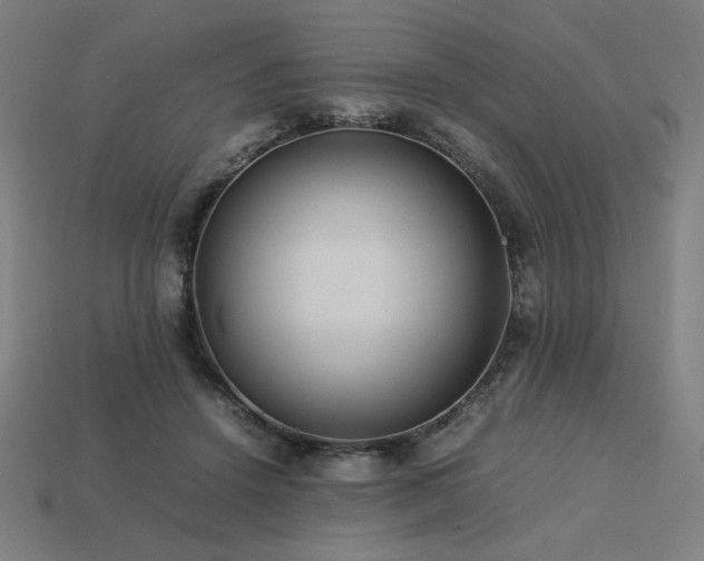 X0000113760456200909231208