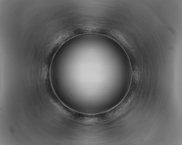 X0000113760458200909231208