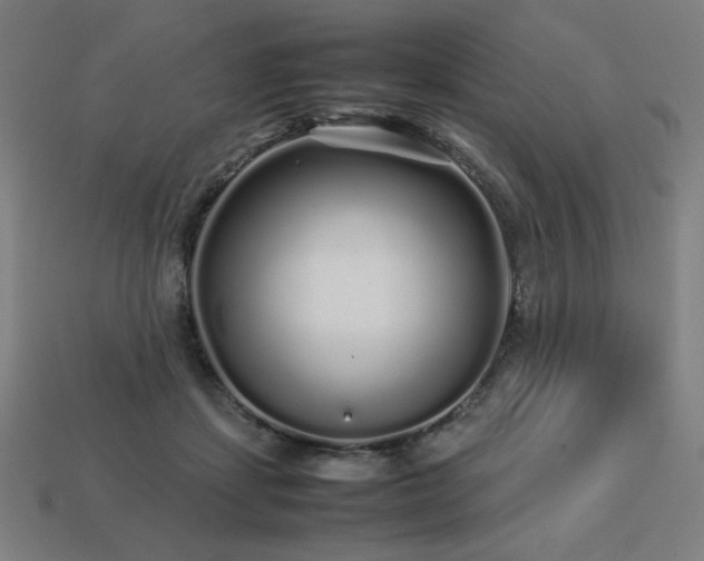 X0000113760459200909231209