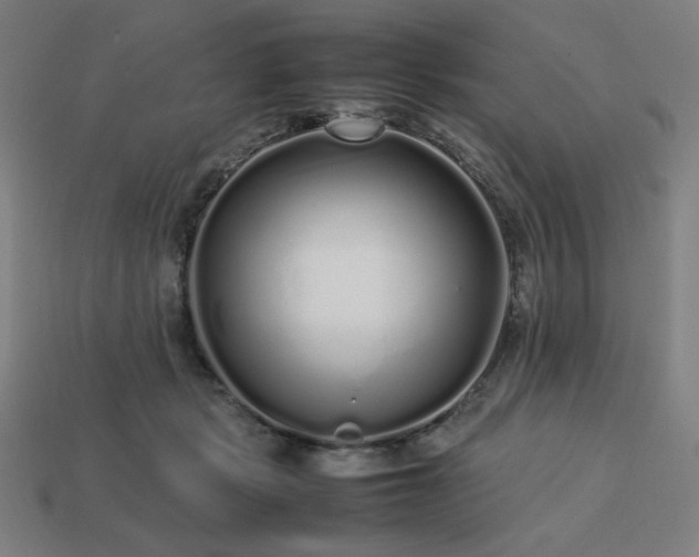 X0000113760461200909231209