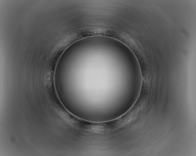 X0000113760462200909231209