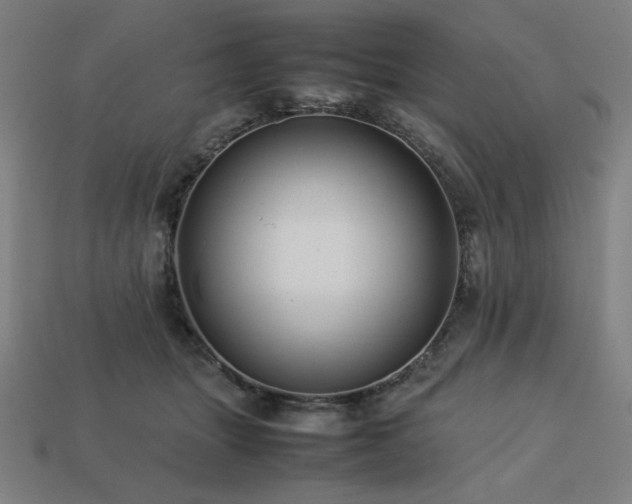 X0000113760463200909231209