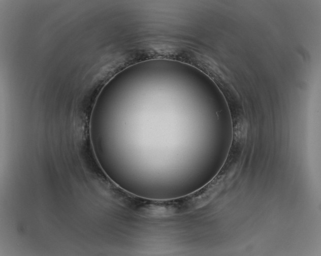 X0000113760464200909231209