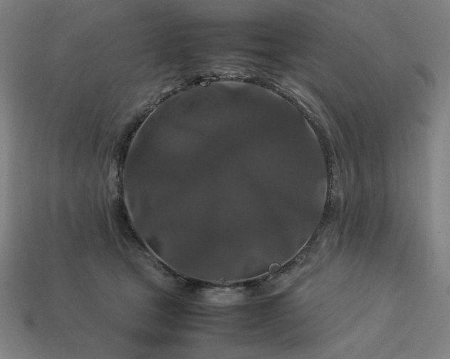 X0000113760465200909231209