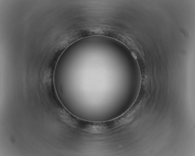 X0000113760466200909231209