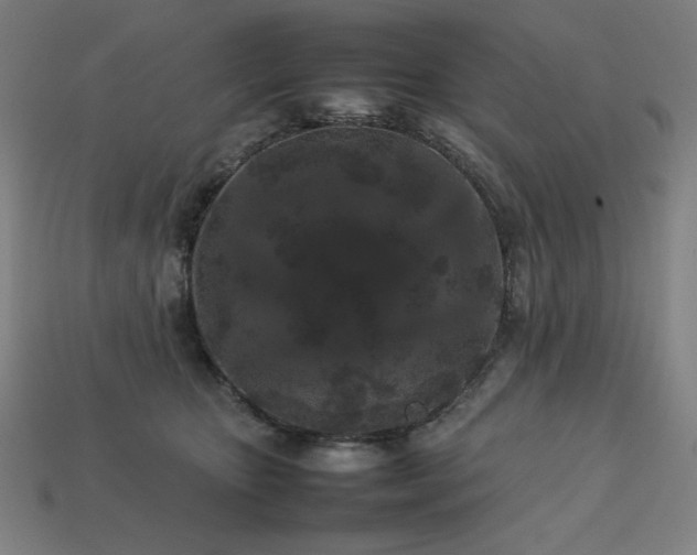 X0000113760467200909231209