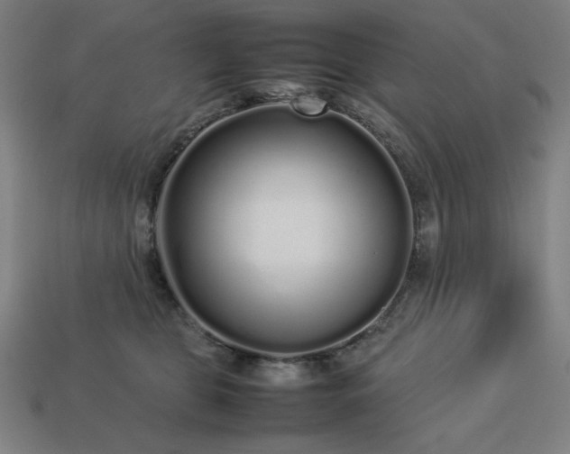 X0000113760469200909231209