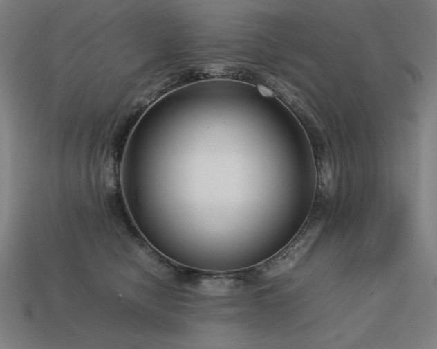 X0000113760470200909231209