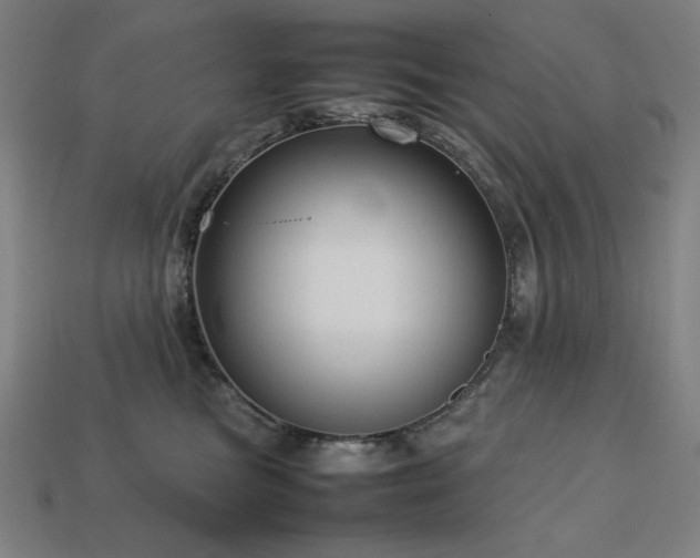 X0000113760473200909231209