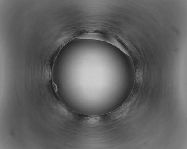 X0000113760474200909231209