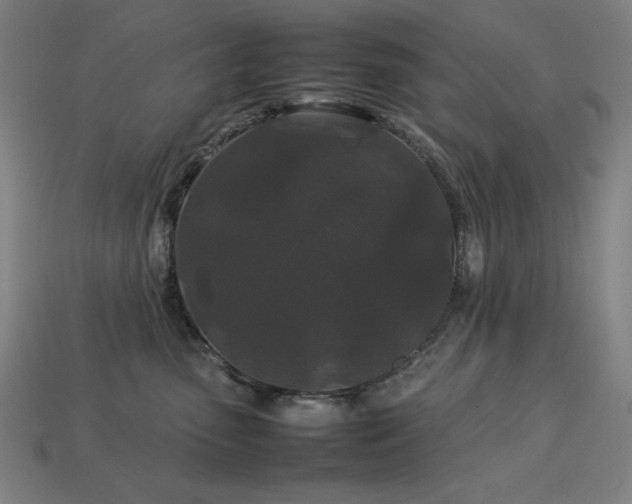 X0000113760475200909231209