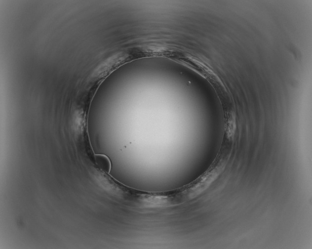 X0000113760476200909231209