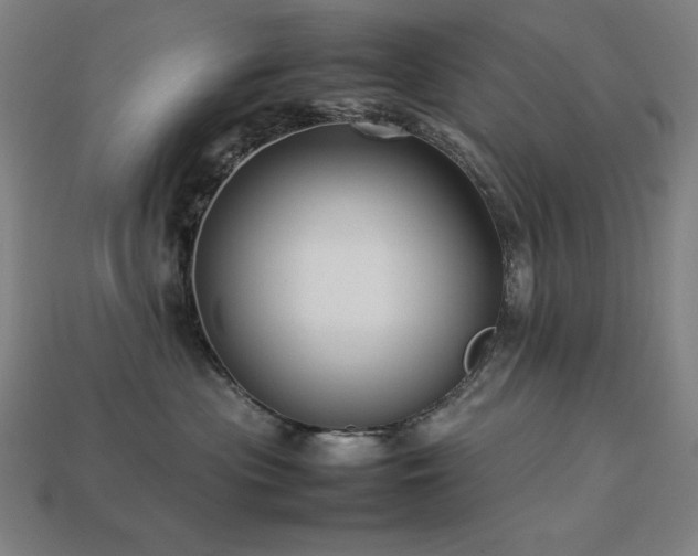 X0000113760477200909231209