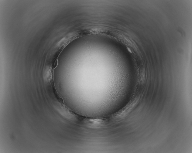 X0000113760478200909231209