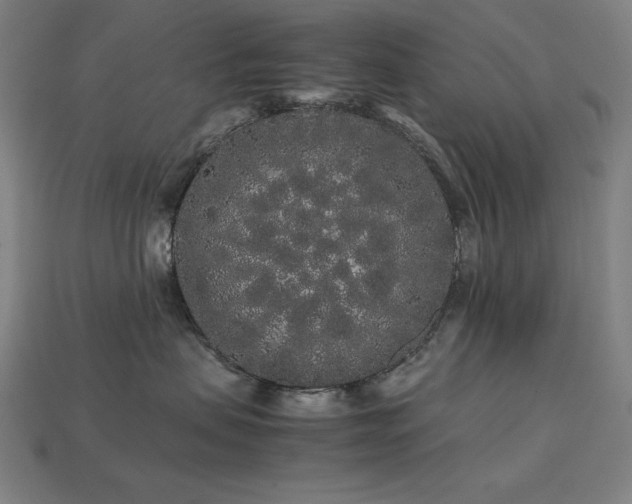 X0000113760479200909231209