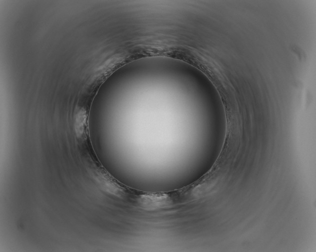 X0000113760480200909231209