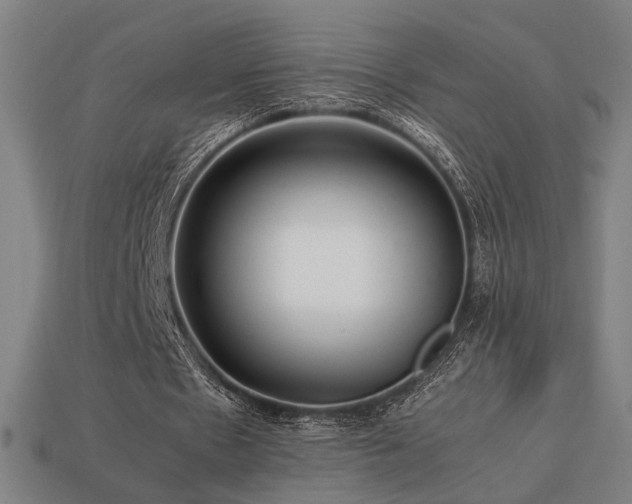 X0000113760481200909231208
