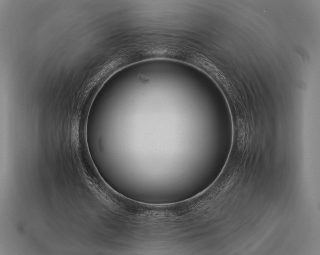 X0000113760482200909231208