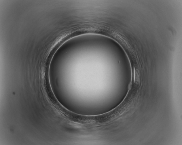 X0000113760483200909231208
