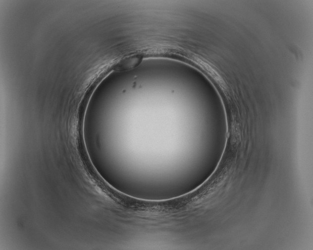 X0000113760485200909231208