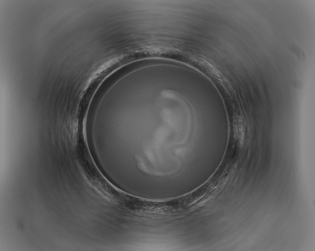 X0000113760488200909231208