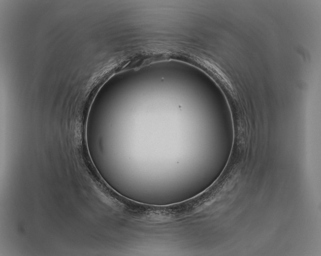 X0000113760489200909231208
