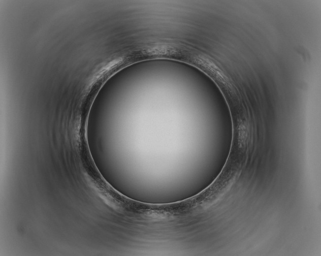 X0000113760490200909231208