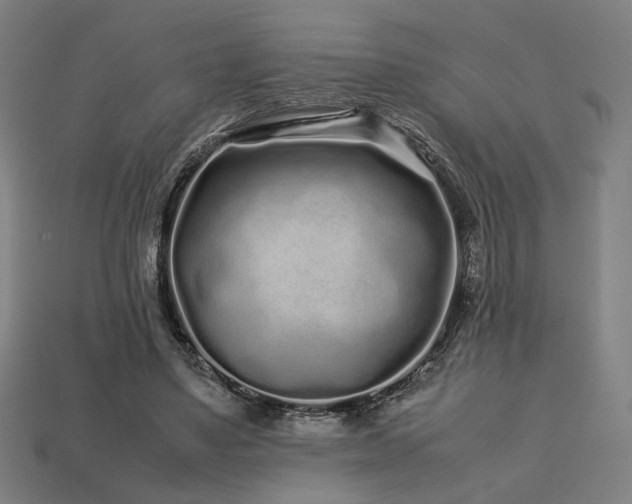 X0000113760491200909231208