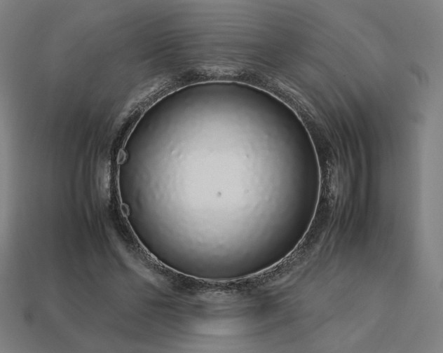 X0000113760494200909231208