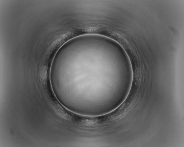 X0000113760495200909231208