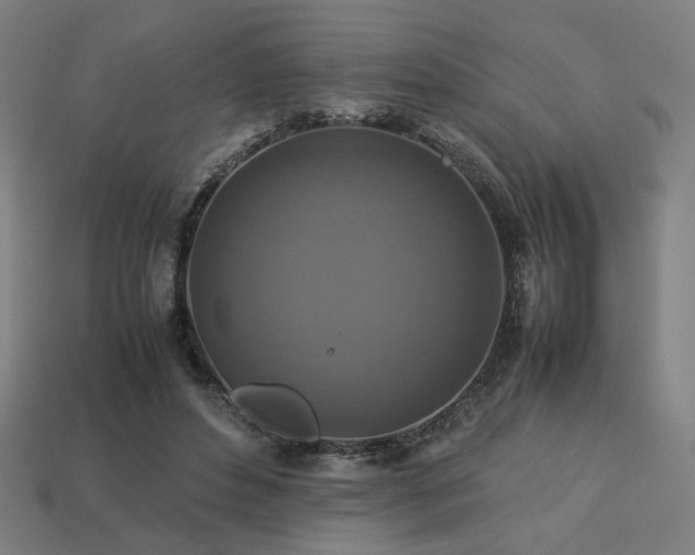 X0000113760496200909231208
