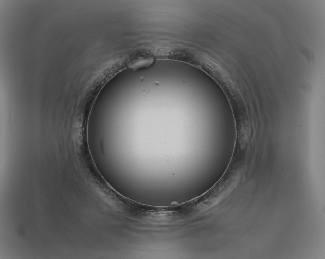 X0000113760497200909231208